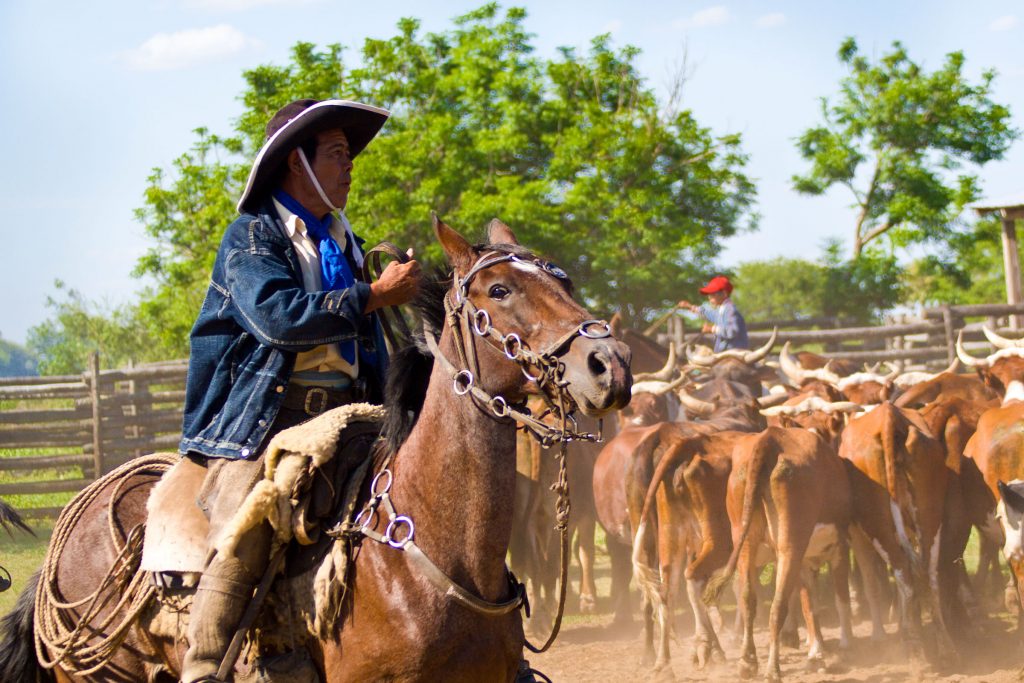 Gauchos auf der Estancia Fortin Salazar in Paraguay