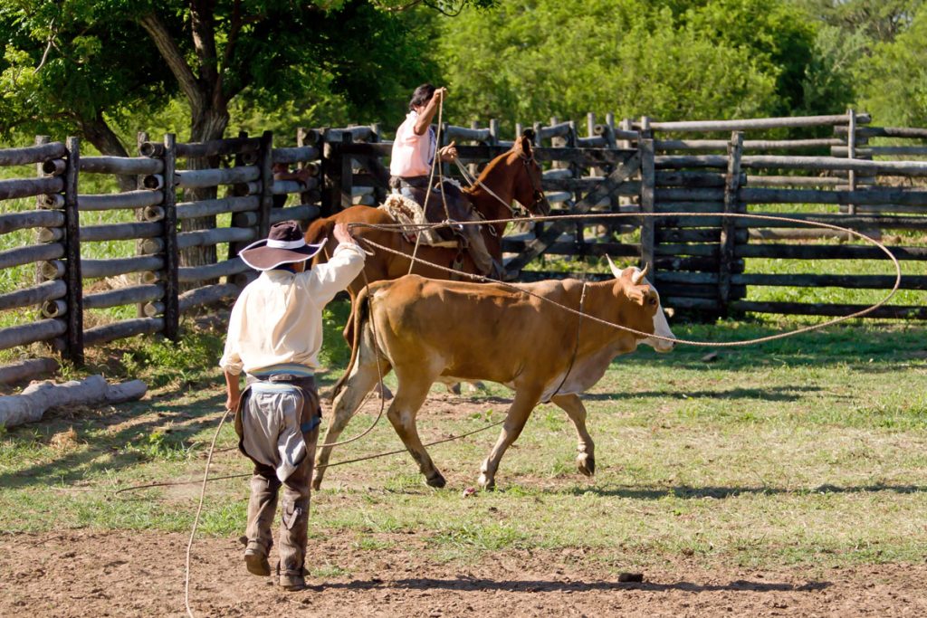 Gauchos auf der Estancia Fortin Salazar in Paraguay