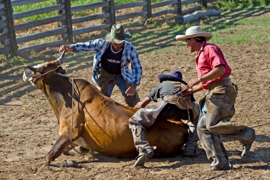 Gauchos auf der Estancia Fortin Salazar in Paraguay