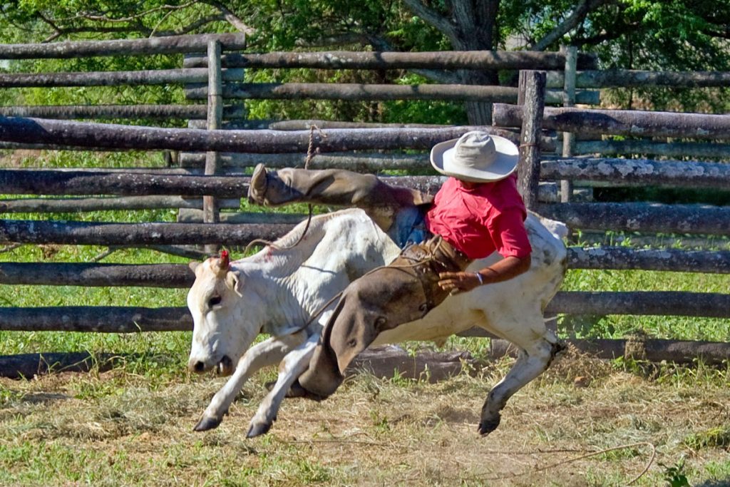 Gauchos auf der Estancia Fortin Salazar in Paraguay