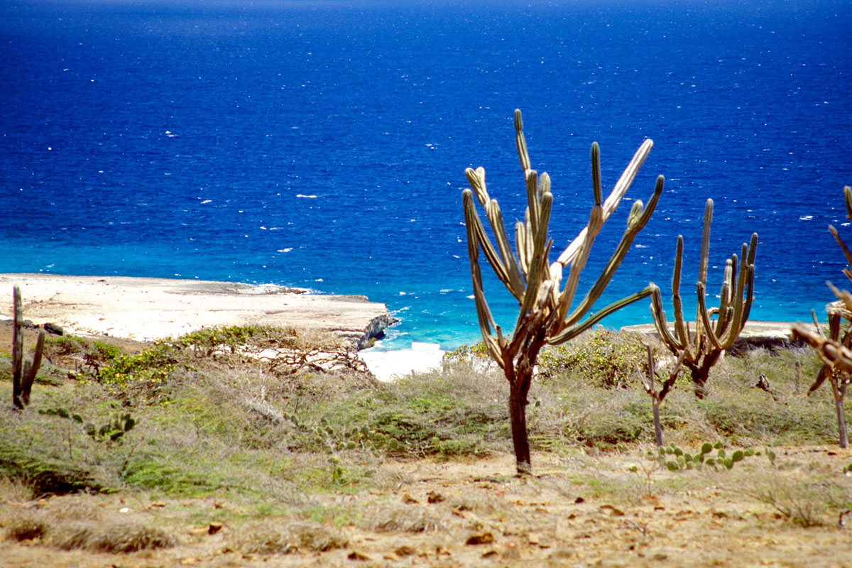 Arikok Nationalpark auf Aruba