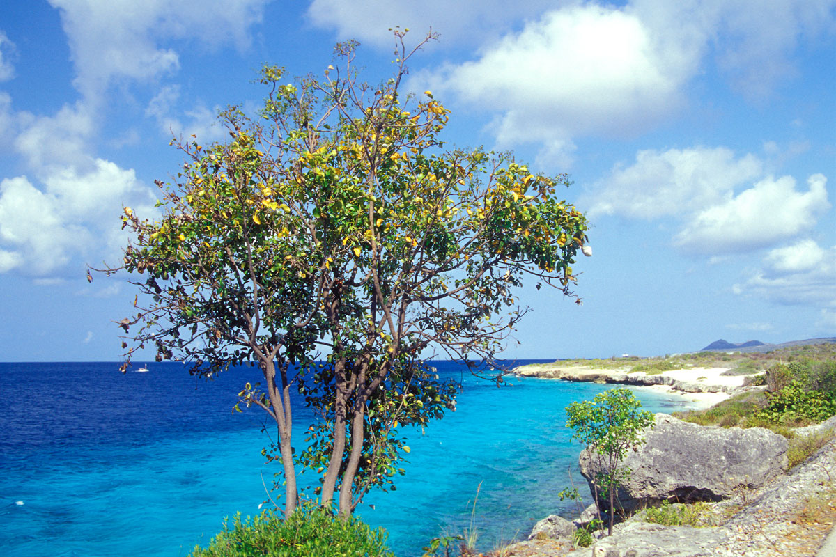 Marine Park, Bonaire