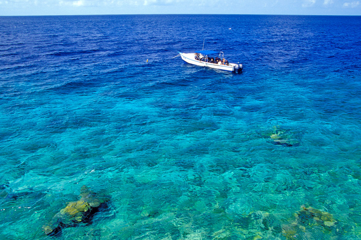 Taucher im Marine Park, Bonaire