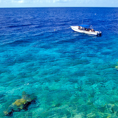 Taucher im Marine Park, Bonaire