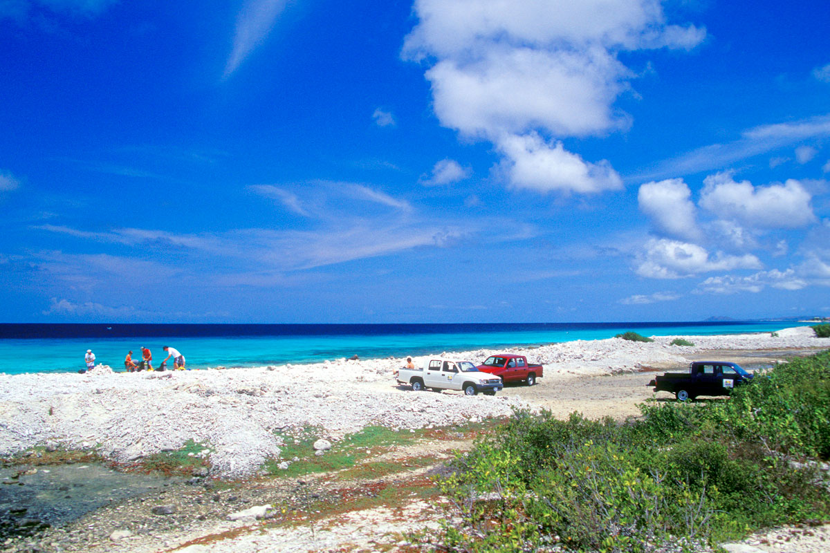 Taucher am Pink Beach, Bonaire