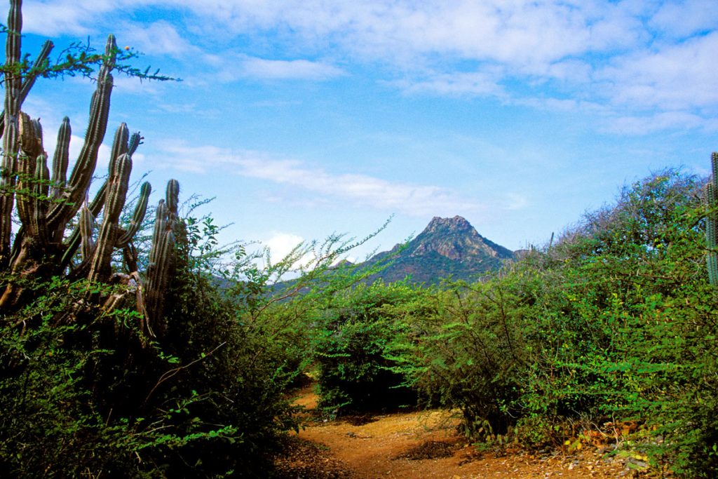 Sint Christoffel, Christoffel-Nationalpark, Curacao Karibik, Niederländische Antillen