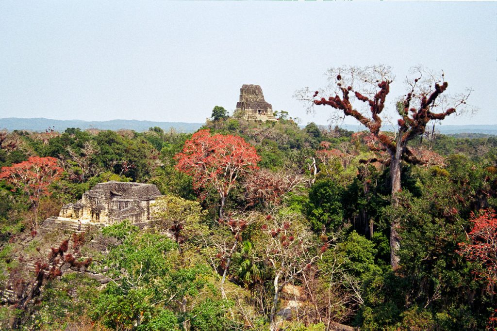 Tikal, Petén, Guatemala