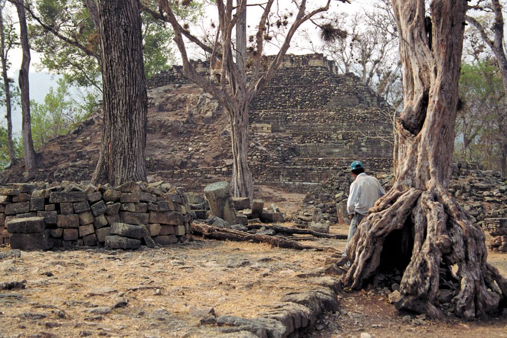 Maya Tempel In Copan, Honduras