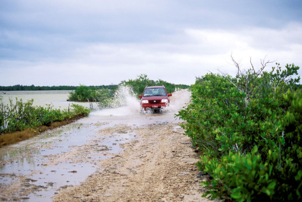 Parque Nacional Cienaga de Zapata