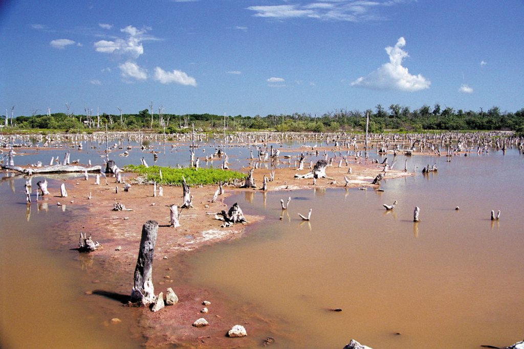 Lagune von Celestún, Yucatan, Mexiko