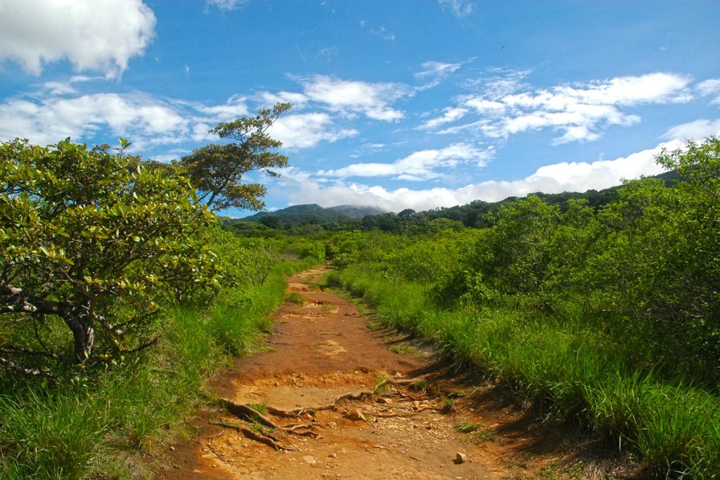 Naturparadies Costa Rica