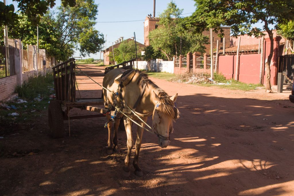 Conception im Chaco Paraguays