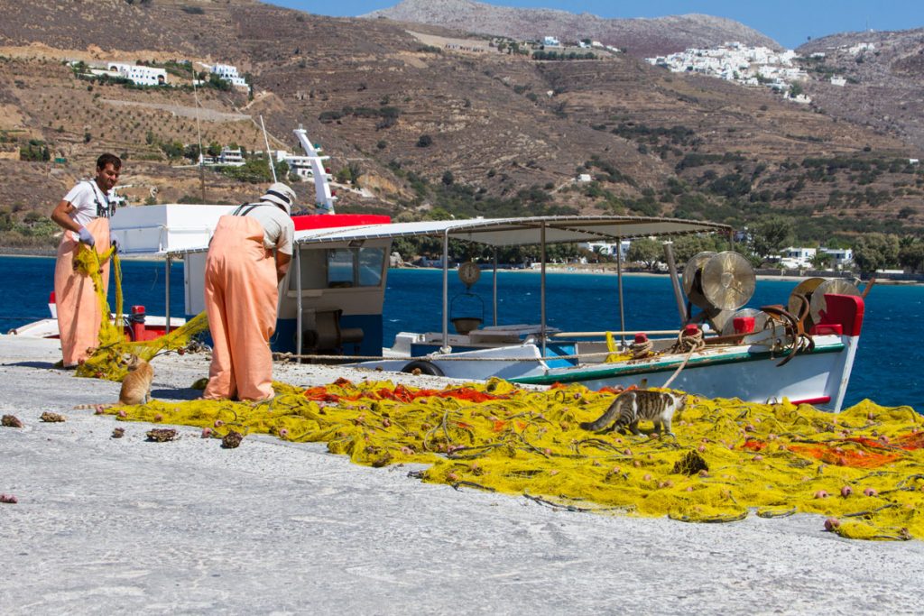 Fischer im Hafen von Aegiali, Amorgos