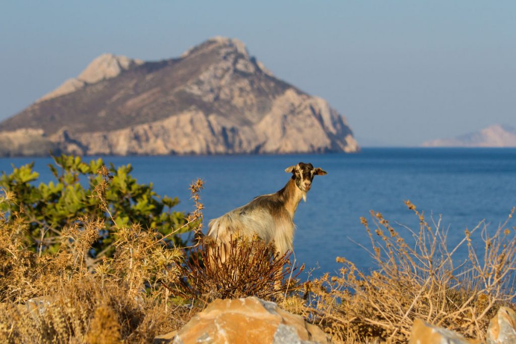 Aegiali auf Amorgos, Griechenland