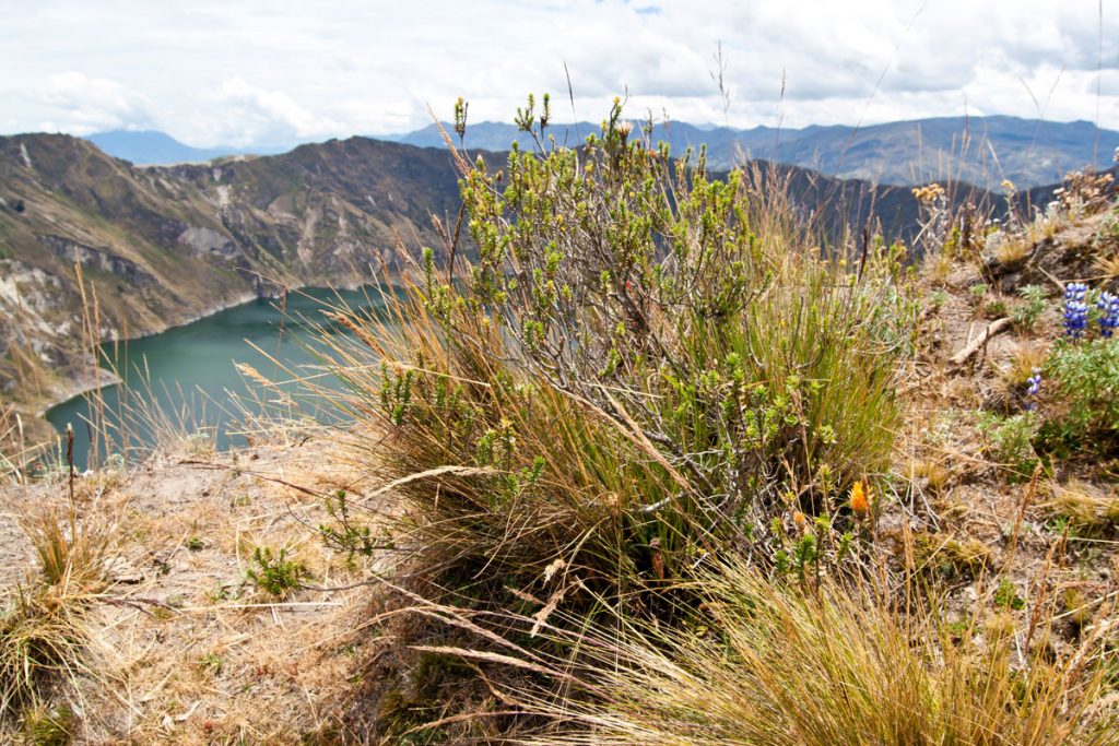 Laguna del Quilotoa, Ecuador