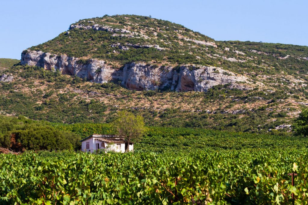 Weinanbaugebiet Nemea, Griechenland