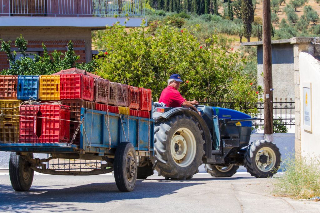 Weingut Lafkioti in Nemea, Peloponnes