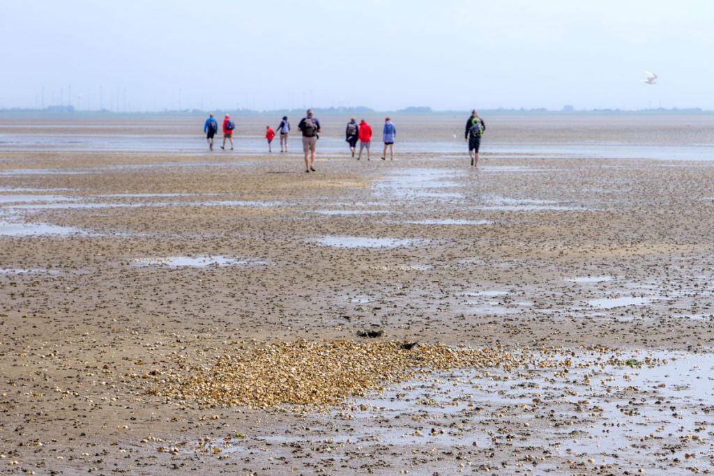 Wattwanderung von der Insel Baltrum nach Neßmersiel