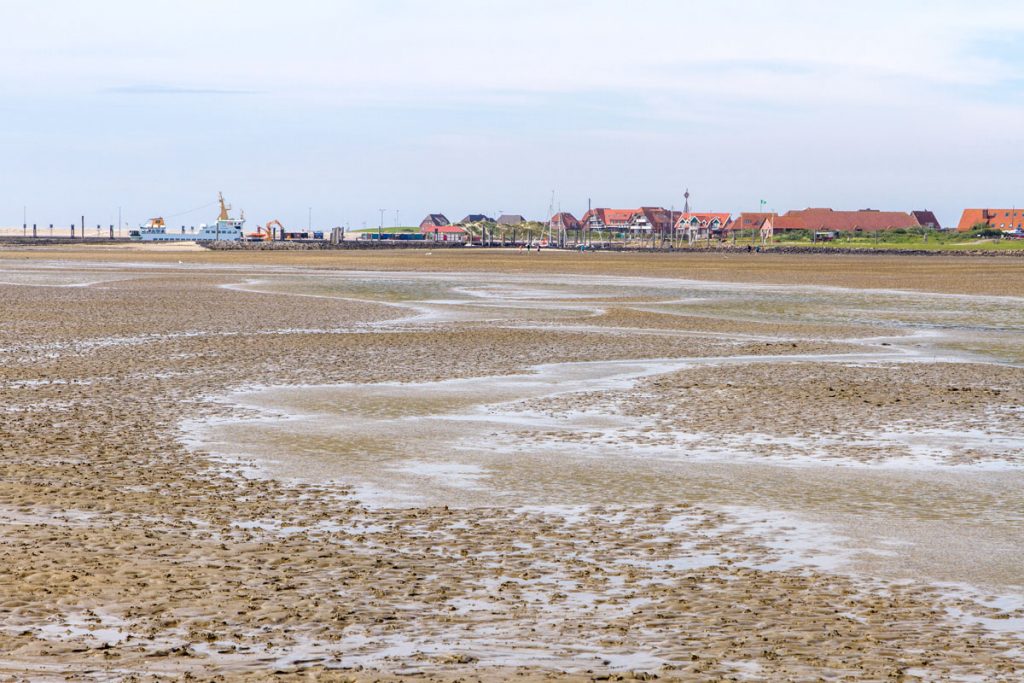 Die Wattwanderung startet auf der Insel Baltrum