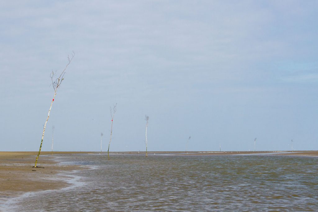 Markierung der Schifffahrtsrinne im Priel des Watts