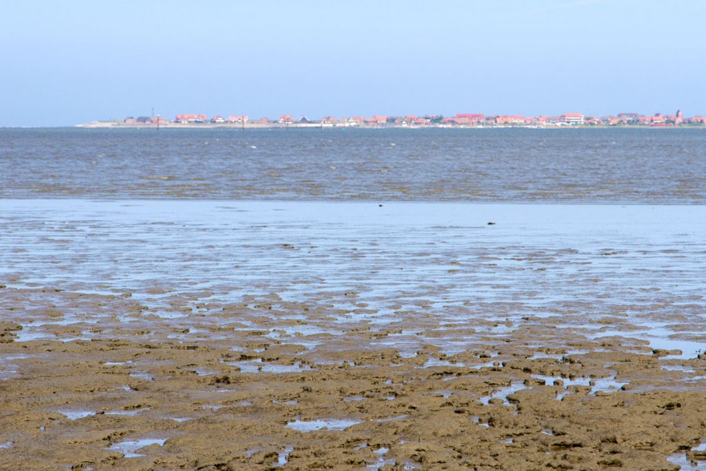 Blick über das Watt bei Flut von Neßmersiel nach Baltrum