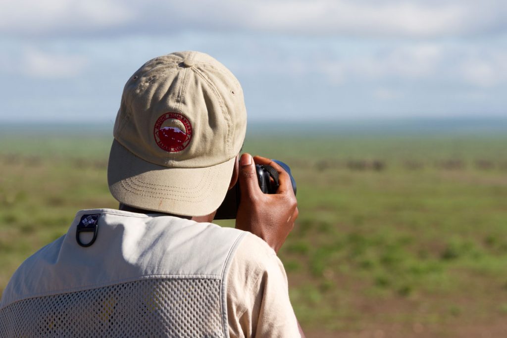 Riesige Gnuherden im Serengeti-Nationalpark, Tansania