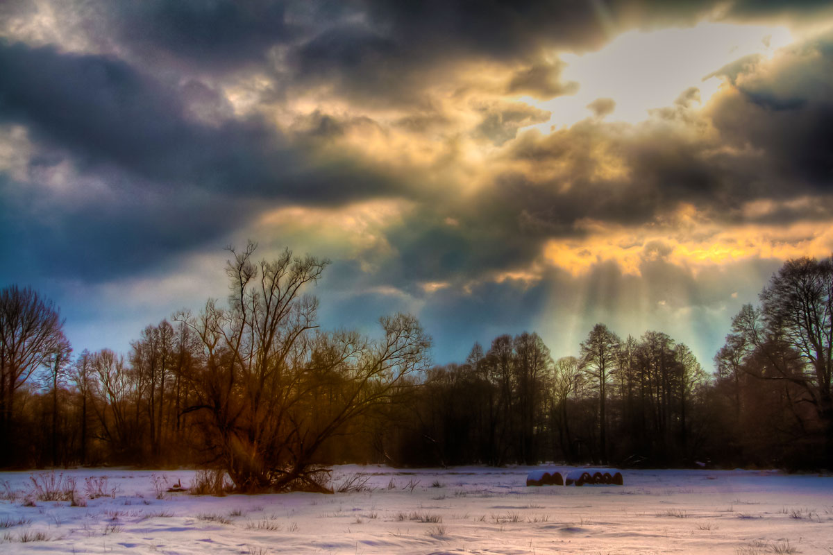 Winter Im Spreewald