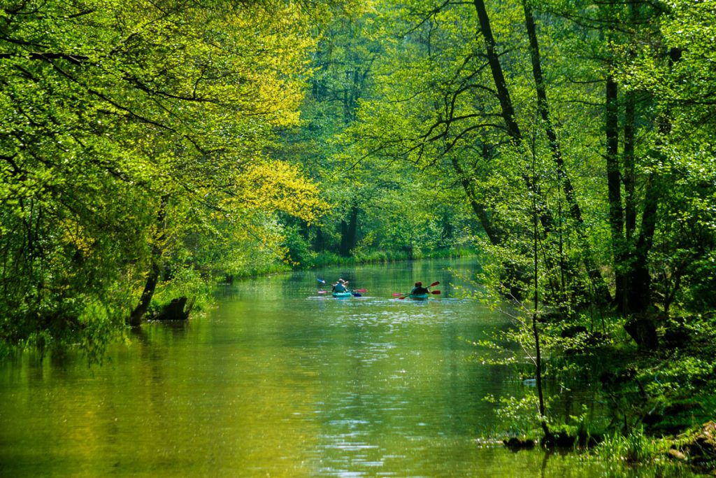 Wasserwadern im Spreewald bei Raddusch