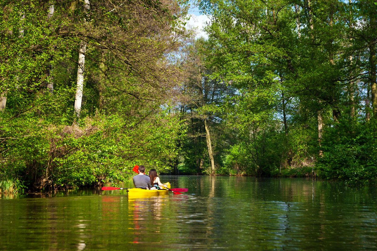 Paddeln im Spreewald nahe Raddusch