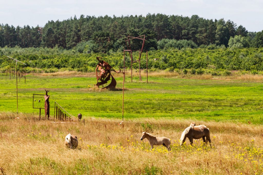 Pferde im Skulpturenpark Katzow