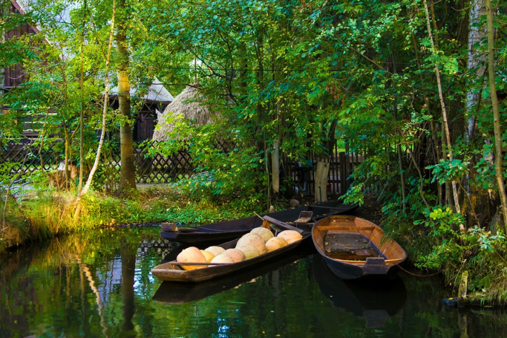 Kähne Im Spreewald