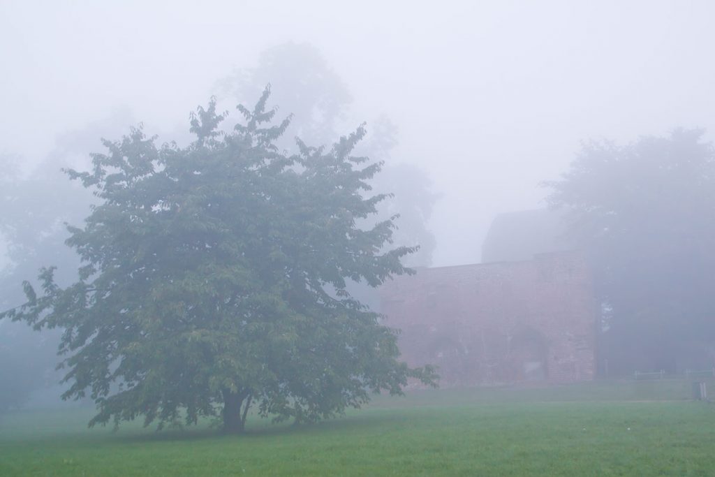 Klosterruine Eldena im morgendlichen Nebel