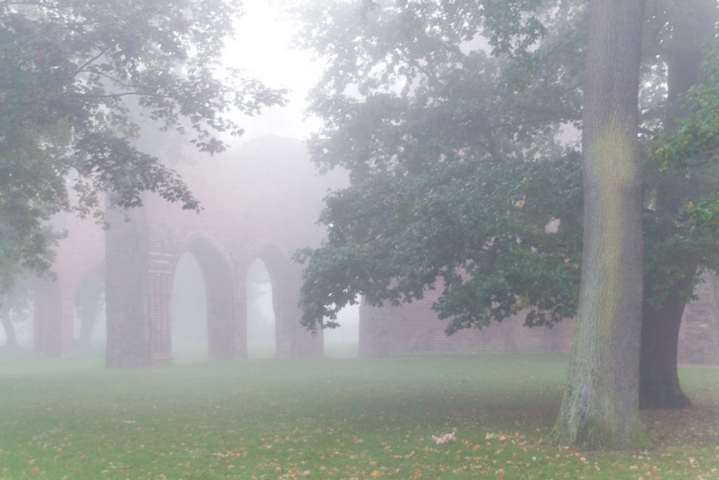 Klosterruine Eldena im morgendlichen Nebel