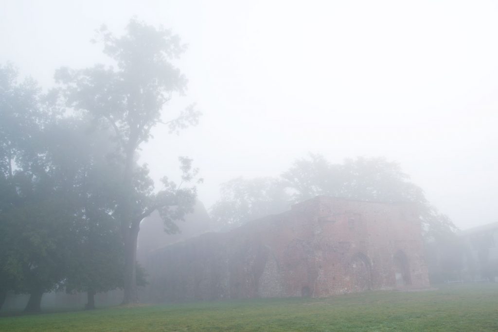 Klosterruine Eldena im morgendlichen Nebel