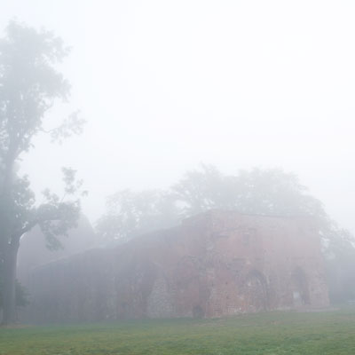 Klosterruine Eldena im morgendlichen Nebel
