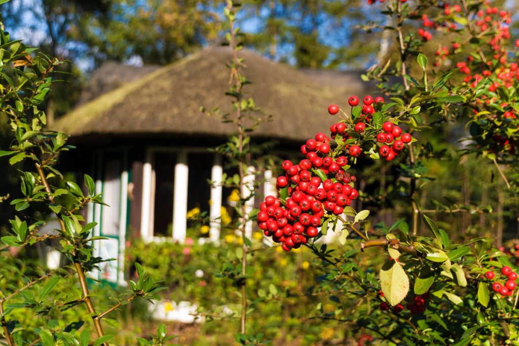 Idylle in Dierhagen-Strand