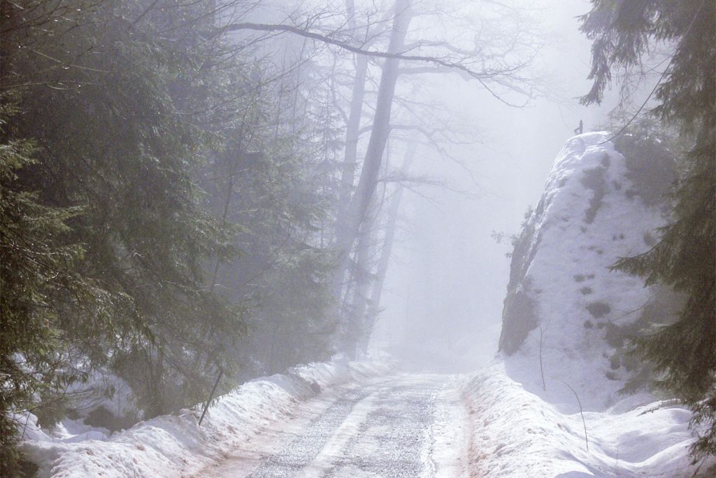 Die Sächsische Schweiz im winterlichen Nebel