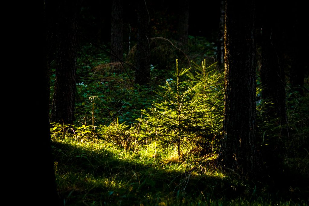 Wandern im Zittauer Gebirge
