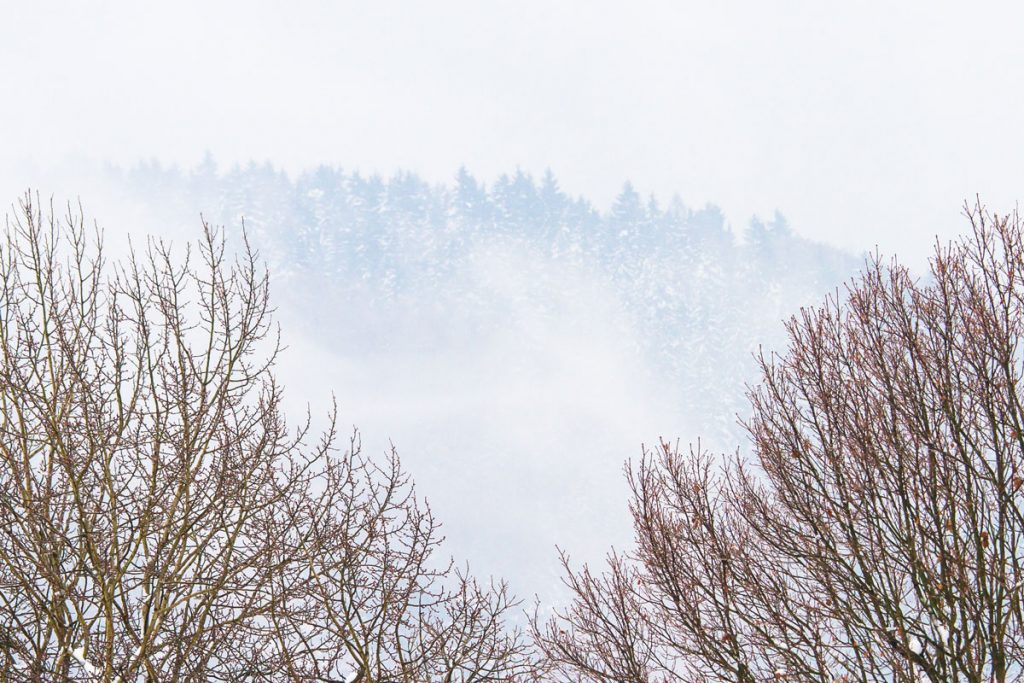 Die Sächsische Schweiz im winterlichen Nebel