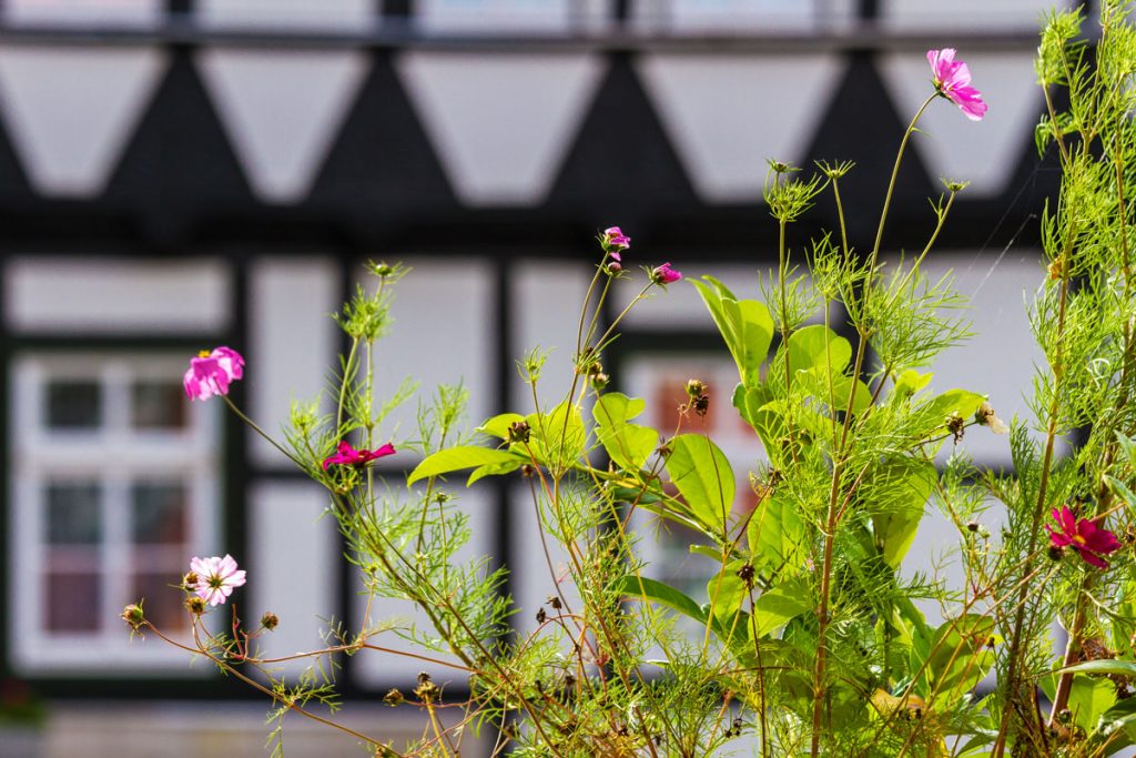 Quedlinburg im Harz