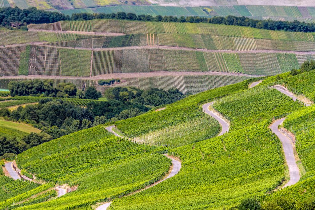 Weinanbau bei Lieser an der Mittelmosel