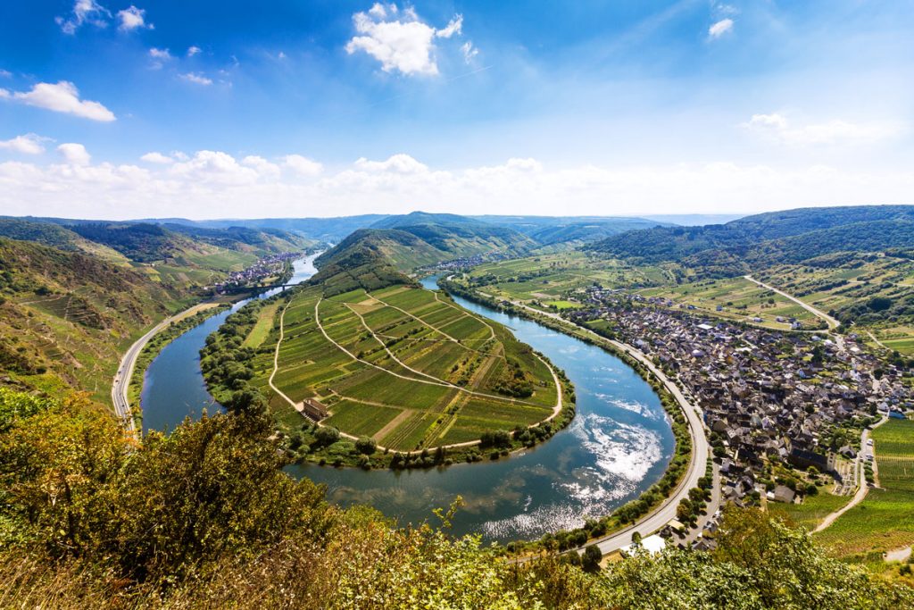 Blick über die Steillage Bremmer Calmont auf die Moselschleife