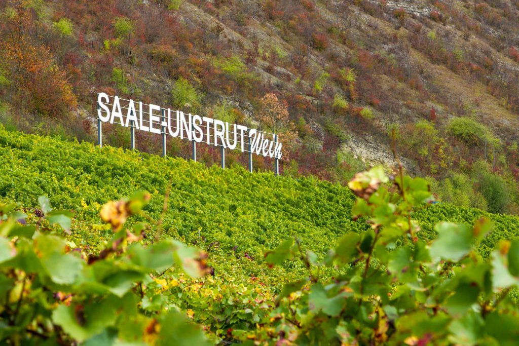 Das Symbol einer ganzen Weinregion: Der berühmte Saale-Unstrut-Wein