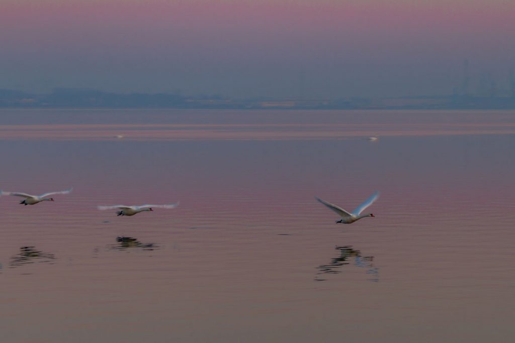 Sonnenaufgang in Stralsund-Devin