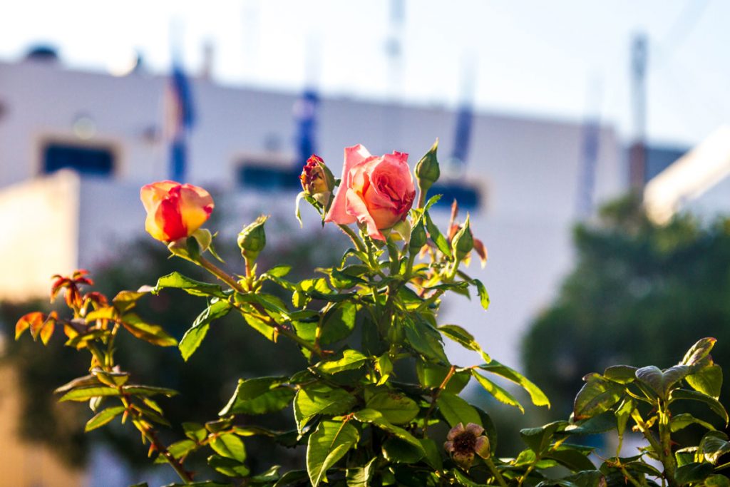Chora (Hora) auf Kythira