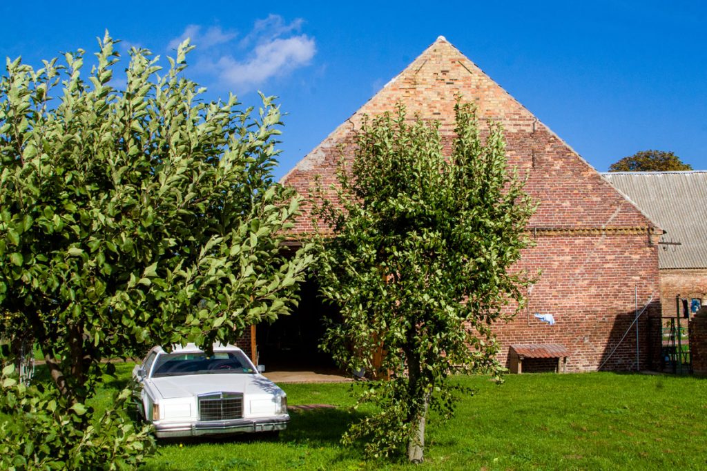 Warthe auf der Halbinsel Lieper Winkel (Usedom)