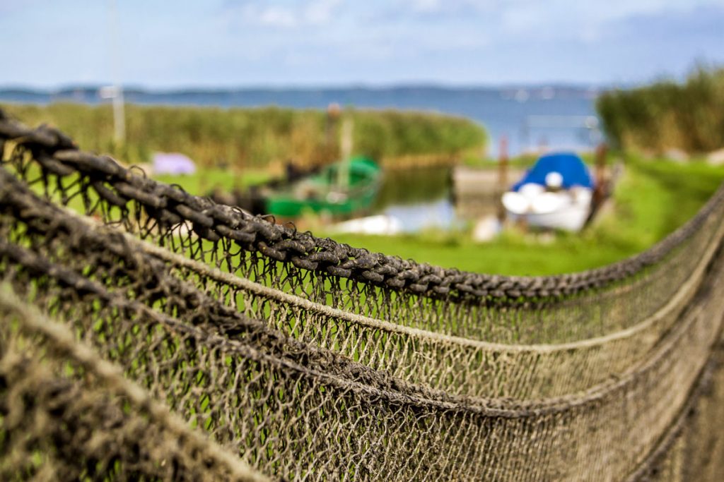Halbinsel Lieper Winkel auf Usedom