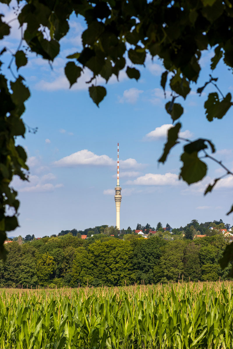 Fernsehturm in Dresden